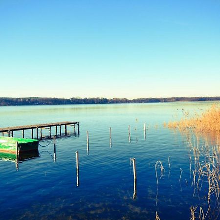 Ferienhaus Am Birkenwaeldchen - Motzener See 150M Mittenwalde Bagian luar foto
