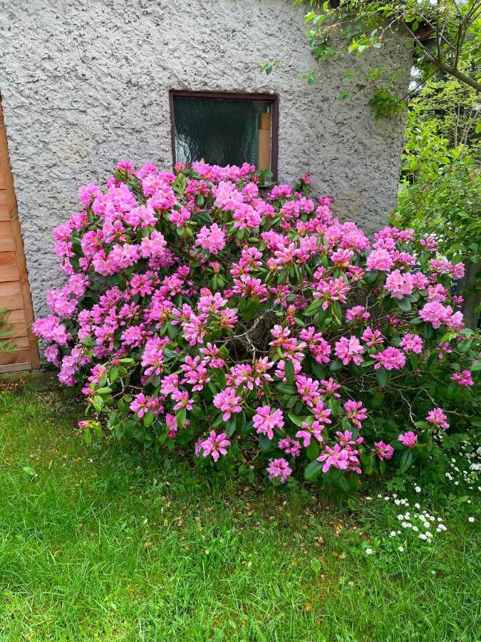 Ferienhaus Am Birkenwaeldchen - Motzener See 150M Mittenwalde Bagian luar foto